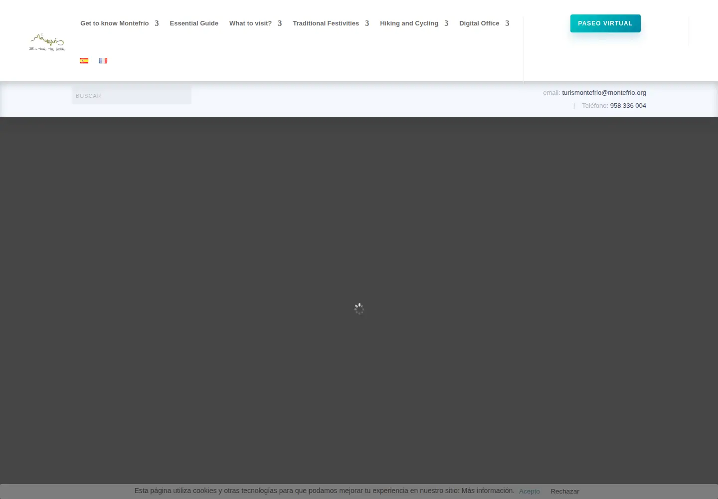 Screenshot of montefrio.org