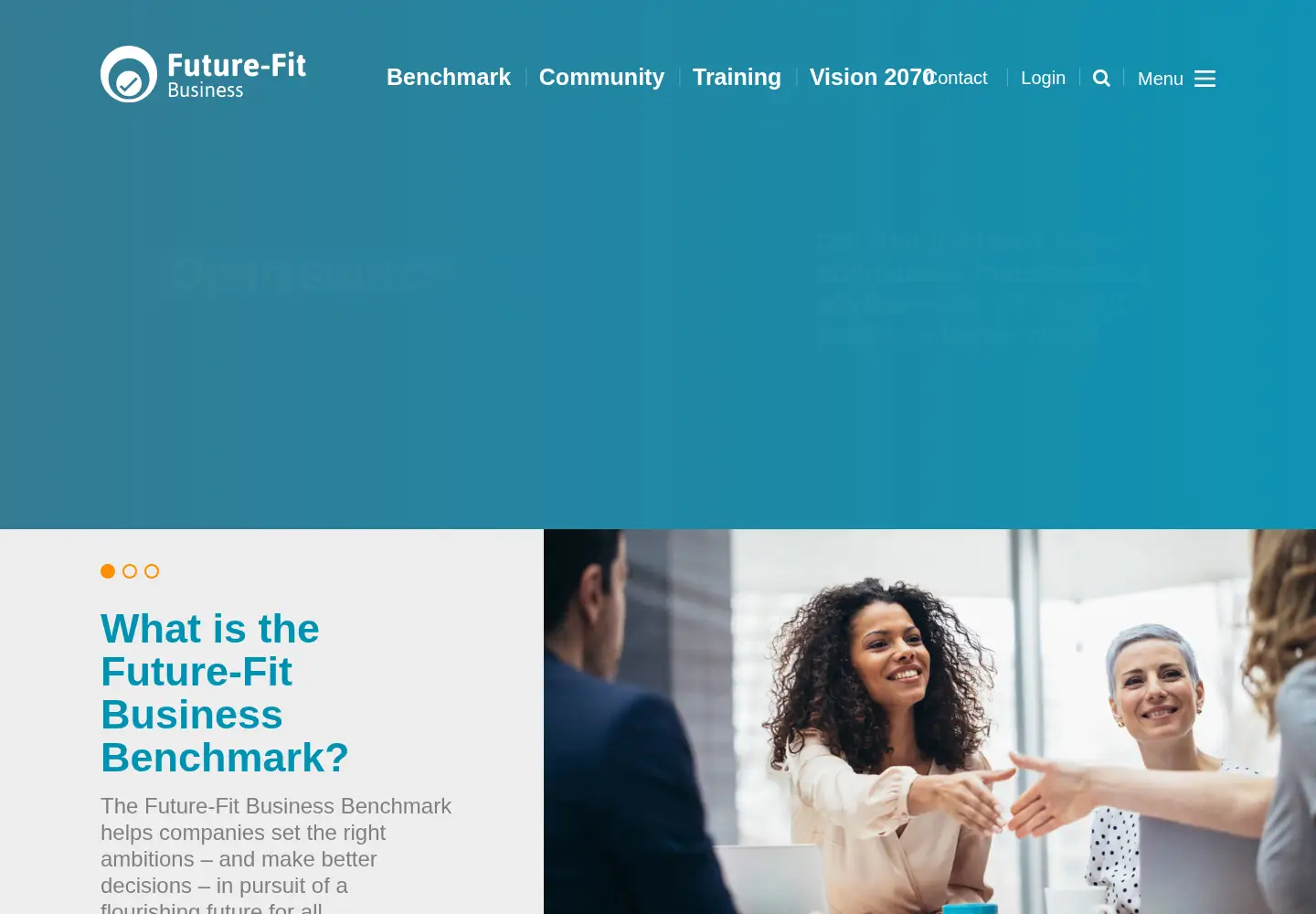 Captured homepage of futurefitbusiness.org in the current scan