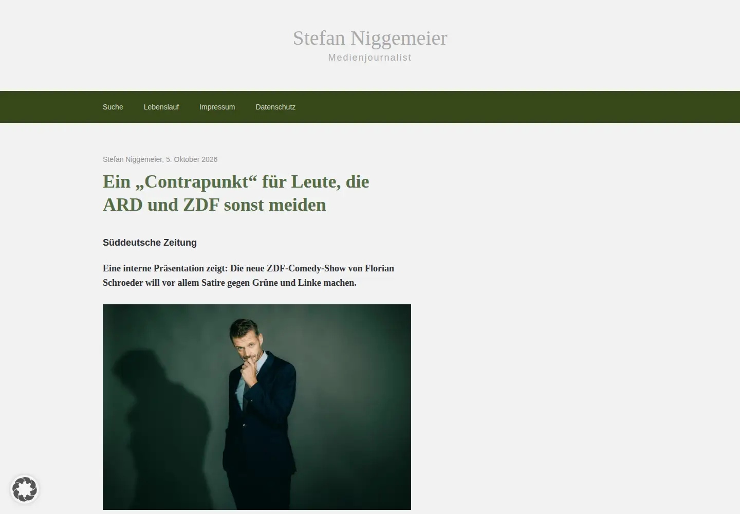 Screenshot of stefan-niggemeier.de