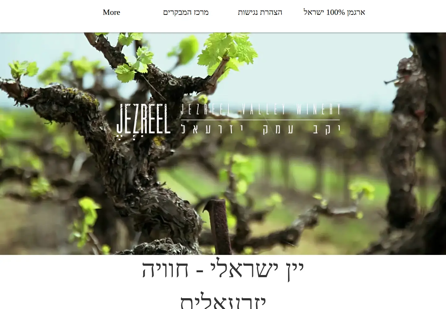 Screenshot of jezreelwinery.com