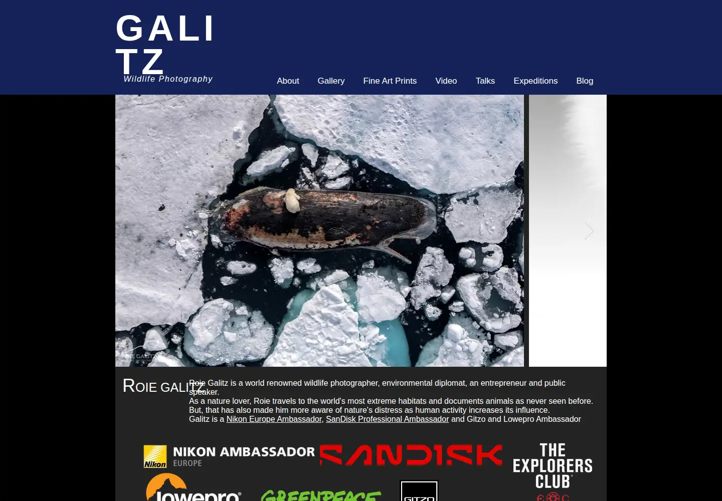 Captured homepage of roiegalitz.com in the current scan