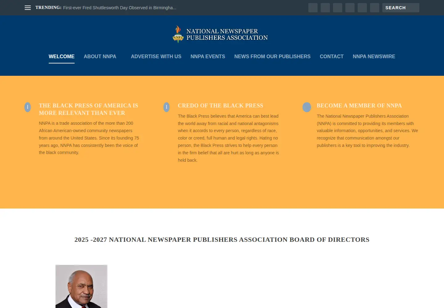 Captured homepage of nnpa.org in the current scan