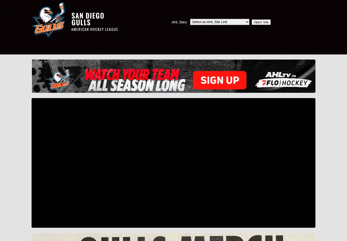 Screenshot of sandiegogulls.com