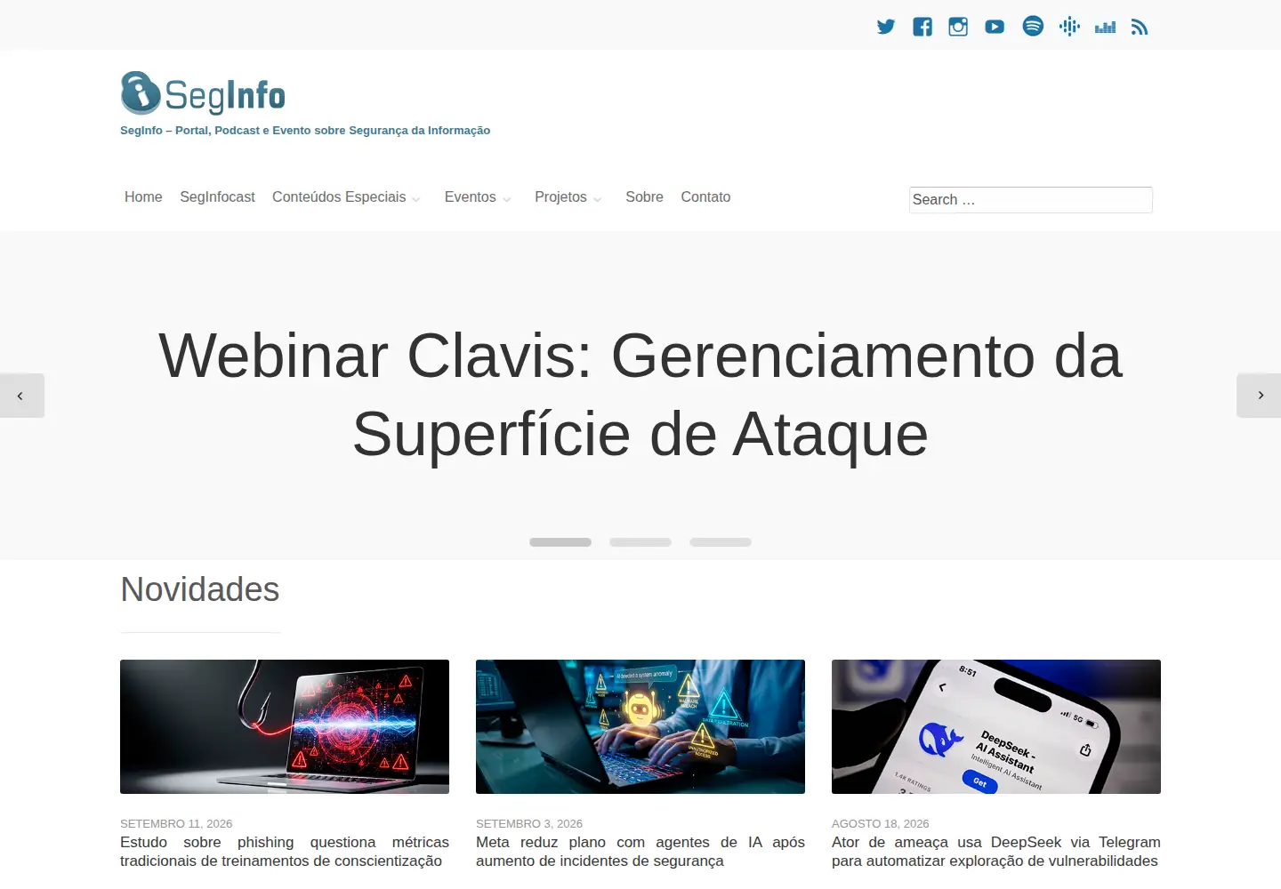 Screenshot of seginfo.com.br