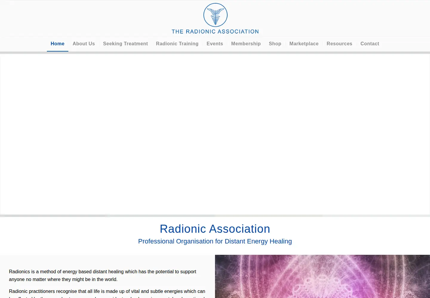 Screenshot of radionic.co.uk