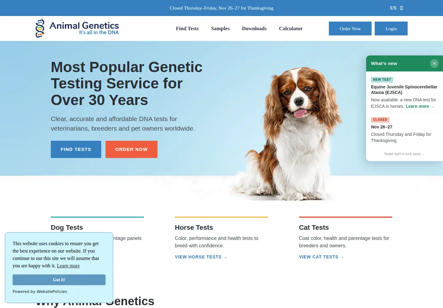 Screenshot of horsetesting.com