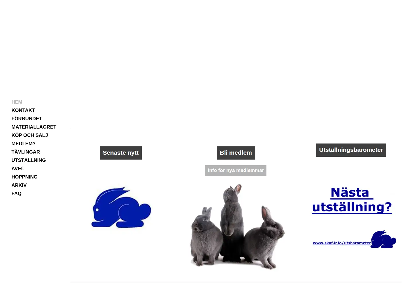 Screenshot of skaf.info