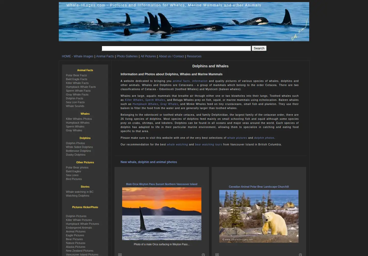 Screenshot of whale-images.com