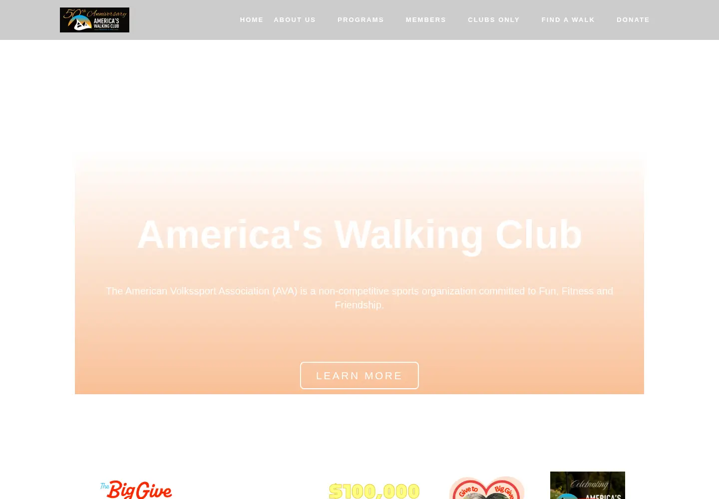 Screenshot of ava.org