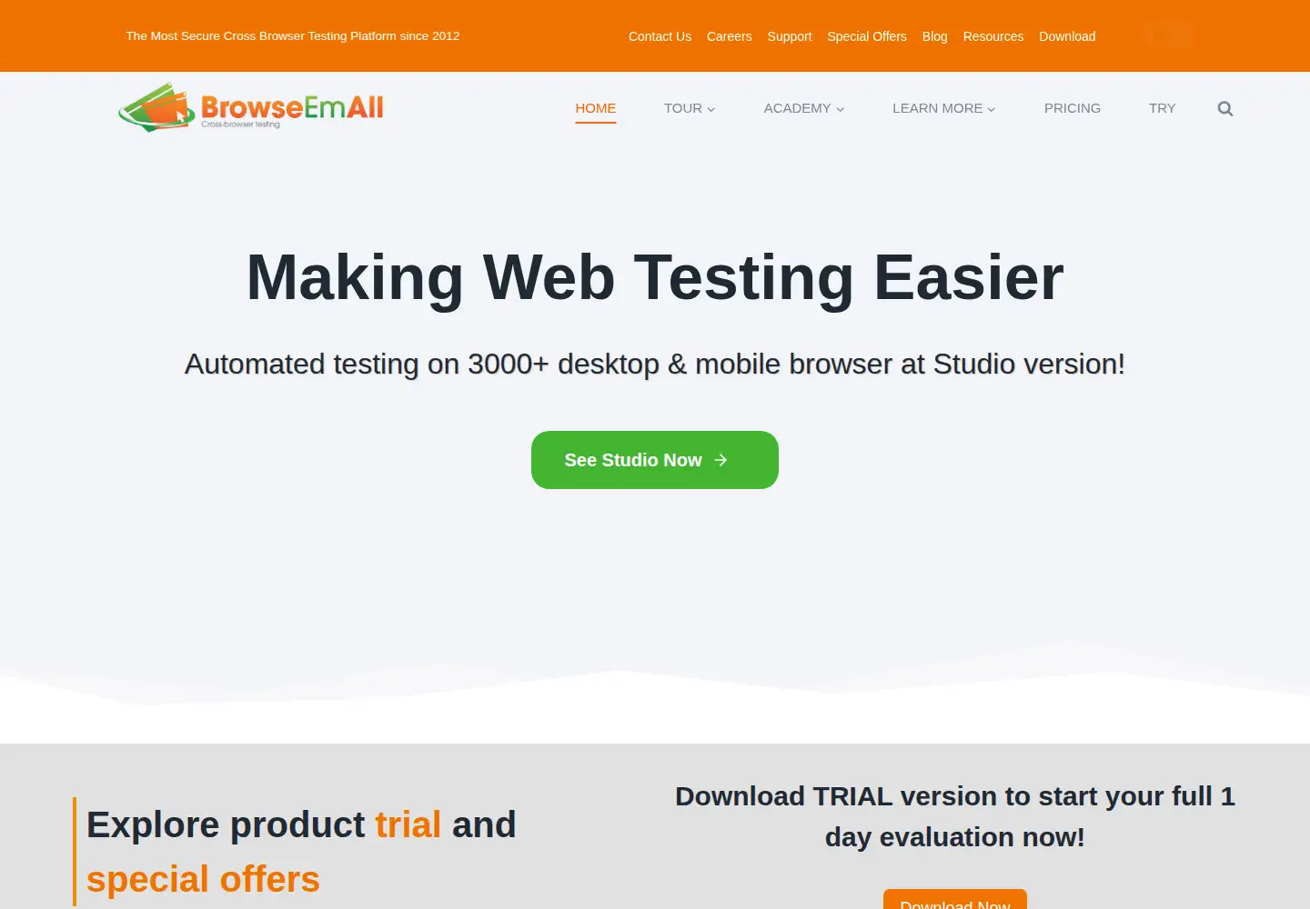Captured homepage of browseemall.com in the current scan
