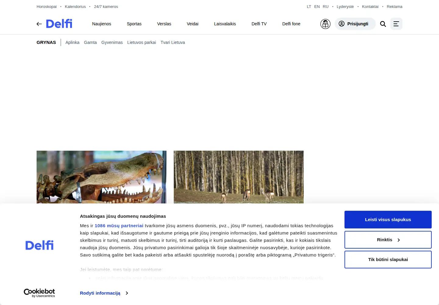 Screenshot of grynas.lt