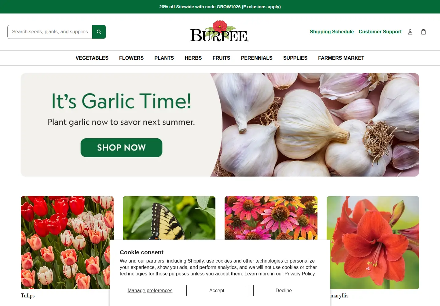 Screenshot of burpee.com