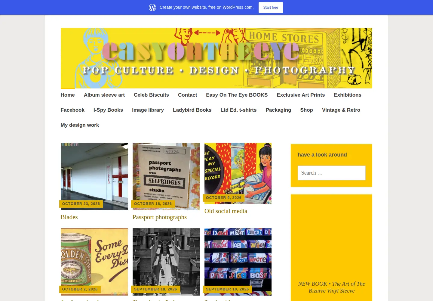Captured homepage of easyontheeye.net in the current scan