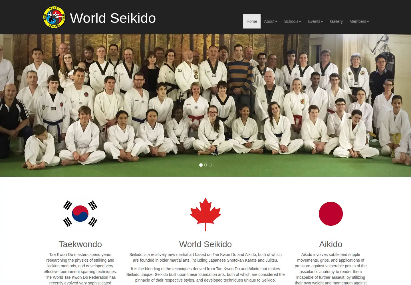 Captured homepage of worldseikido.com in the current scan