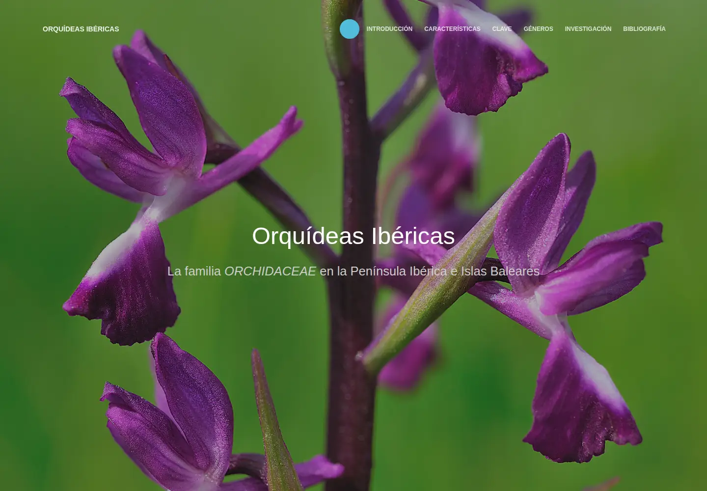 Screenshot of orquideasibericas.es