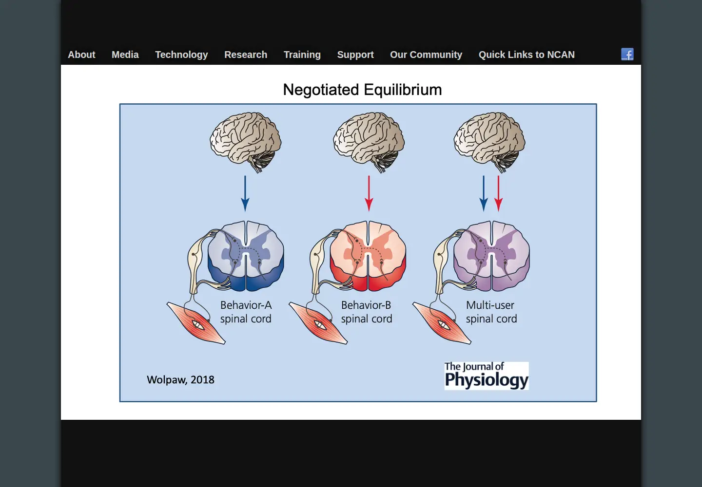 Screenshot of neurotechcenter.org