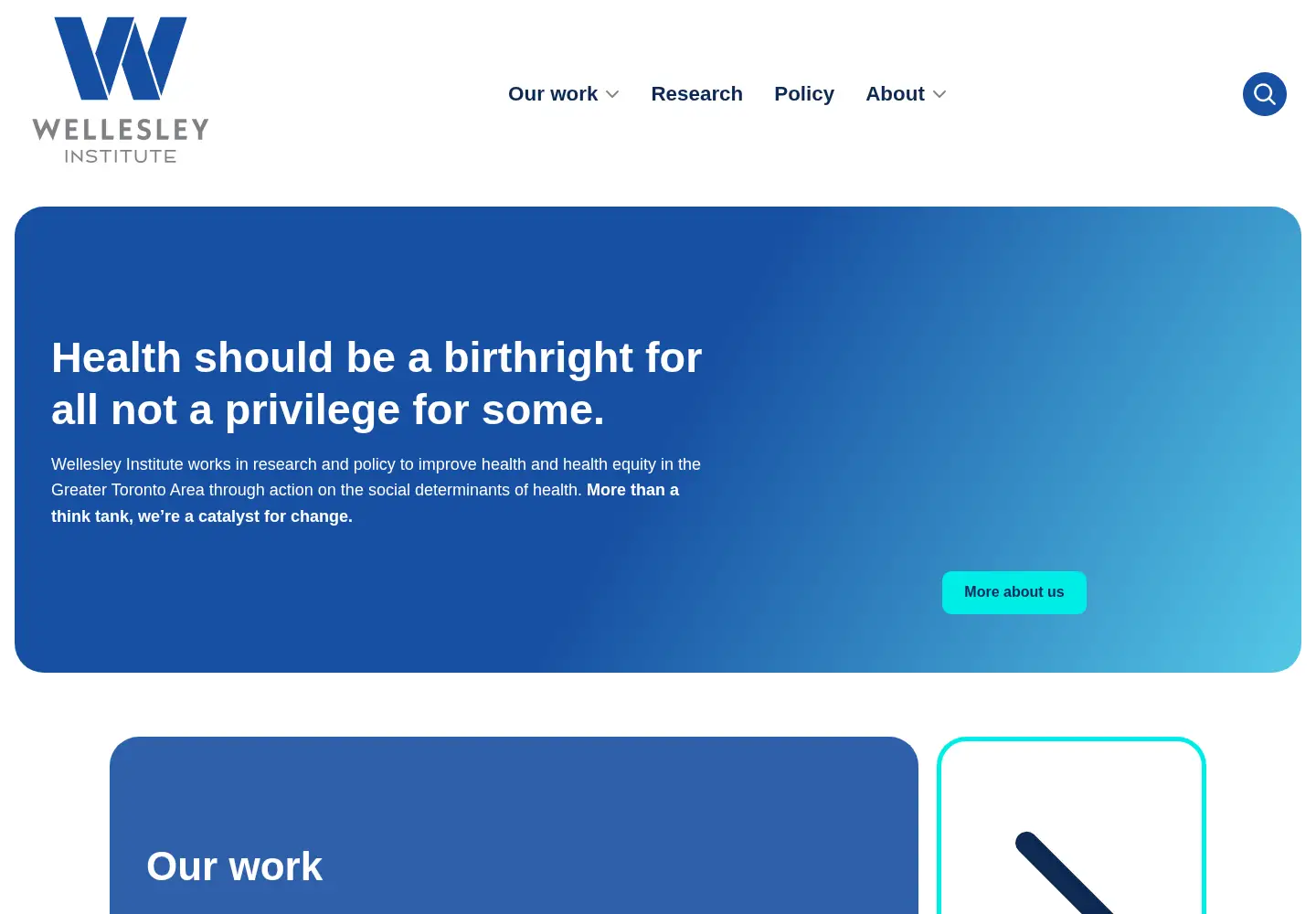 Screenshot of wellesleyinstitute.com