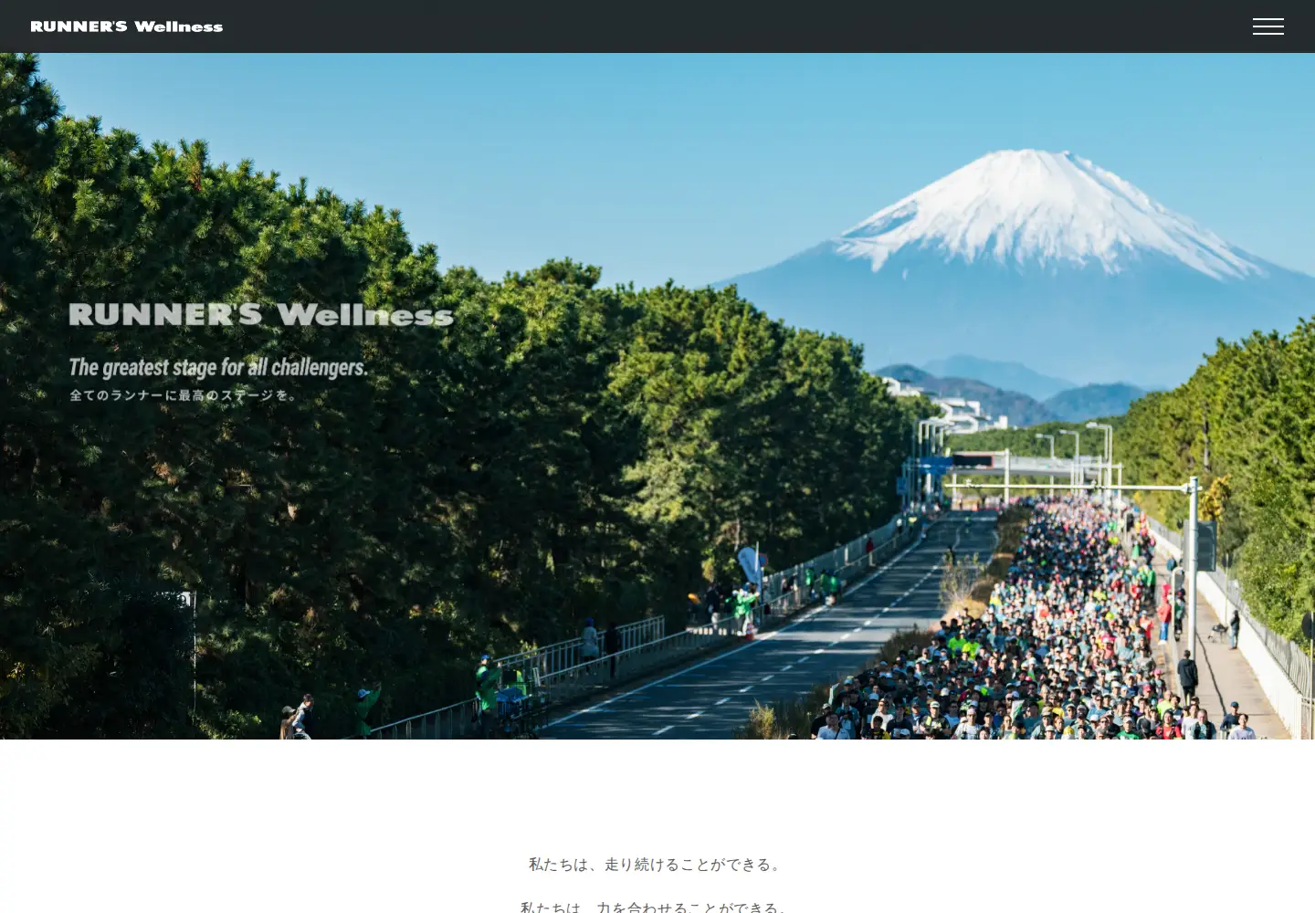 Screenshot of r-wellness.com
