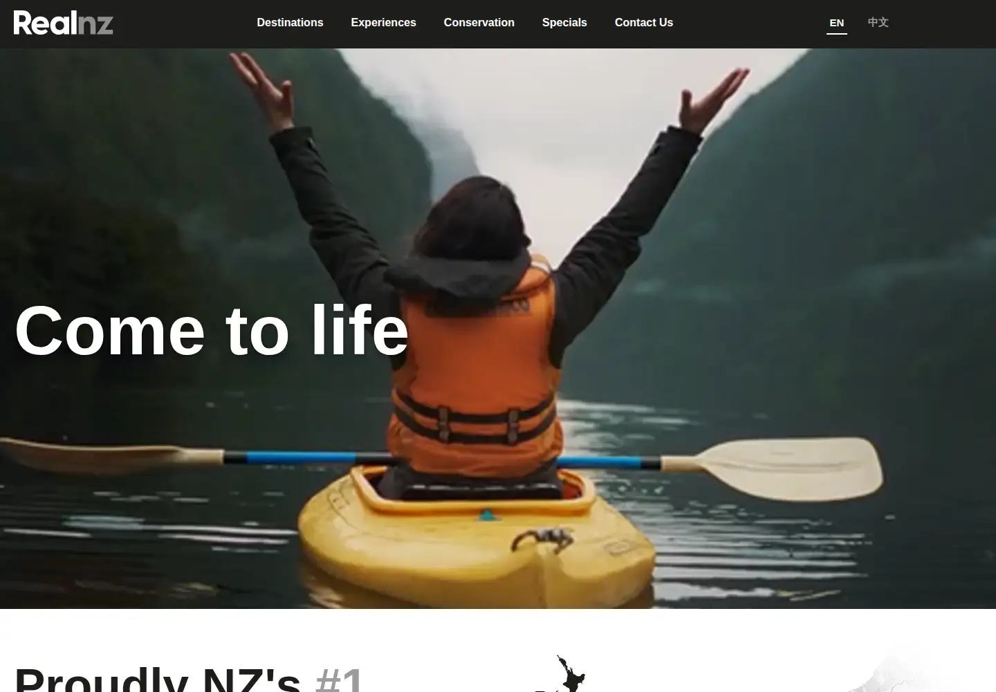 Screenshot of realnz.com