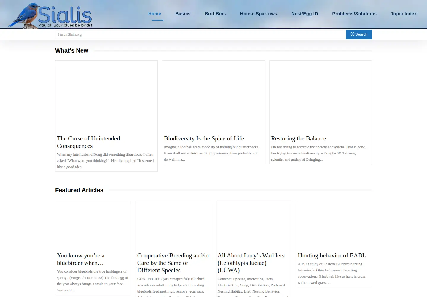 Captured homepage of sialis.org in the current scan