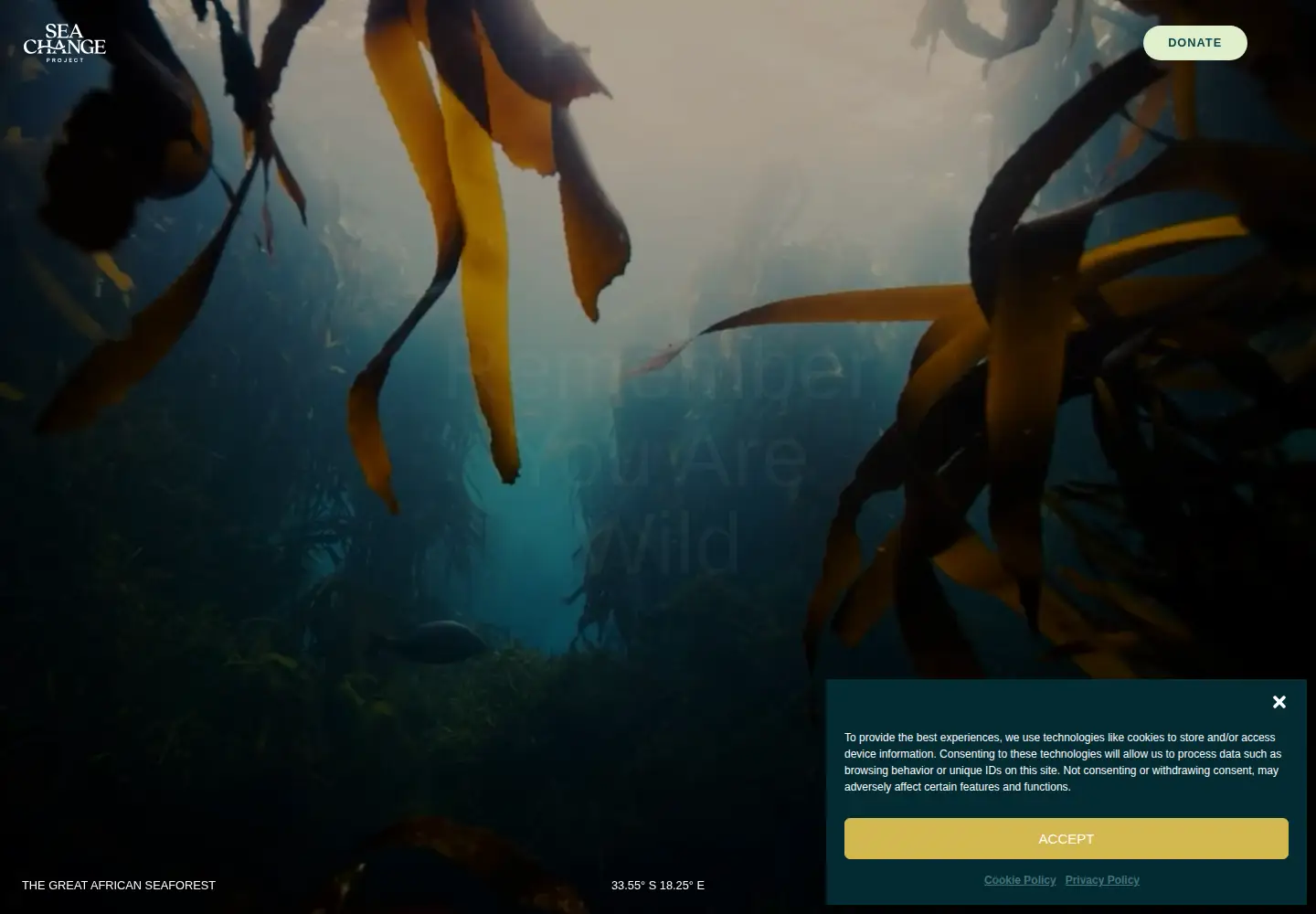 Captured homepage of seachangeproject.com in the current scan