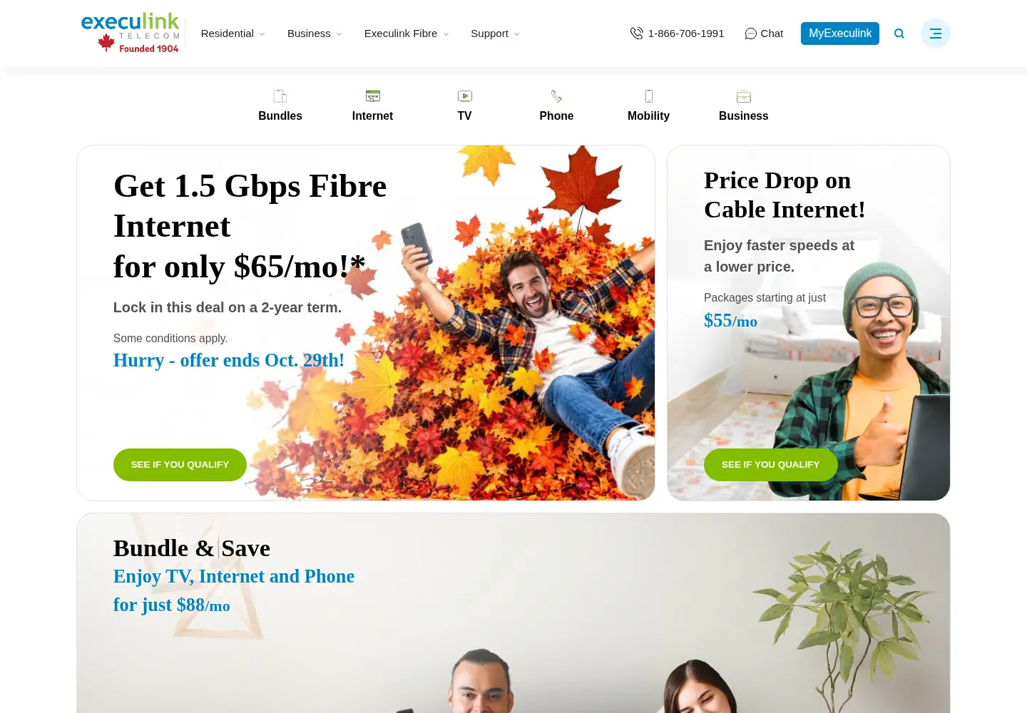 Screenshot of execulink.com