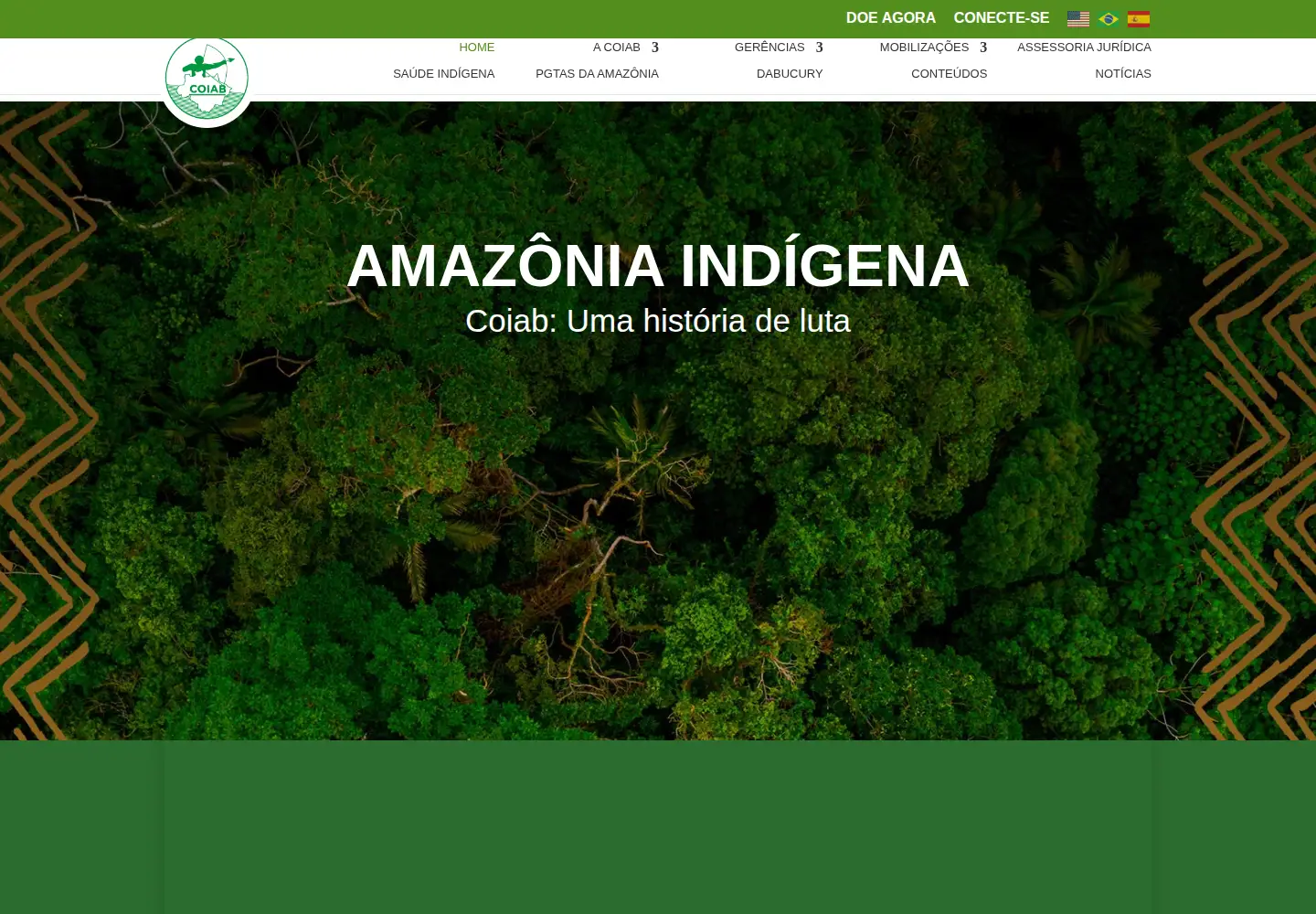 Captured homepage of coiab.org.br in the current scan