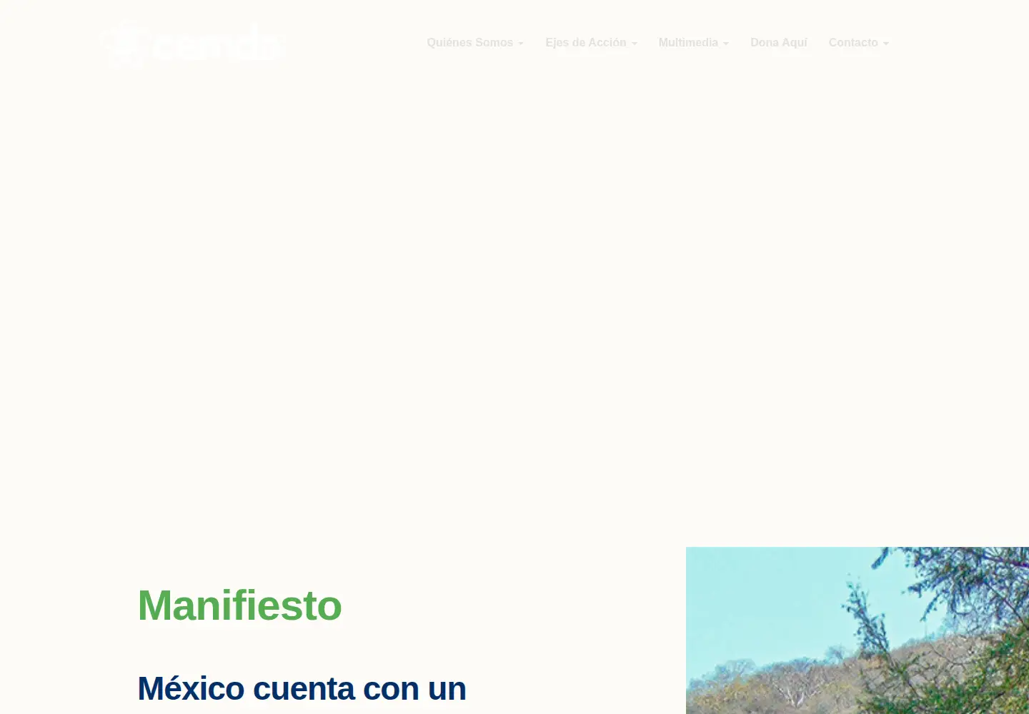 Screenshot of cemda.org.mx