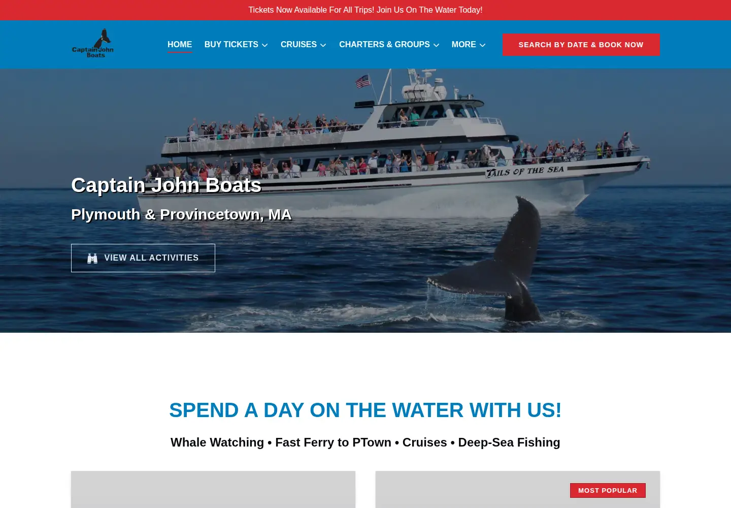 Captured homepage of captjohn.com in the current scan