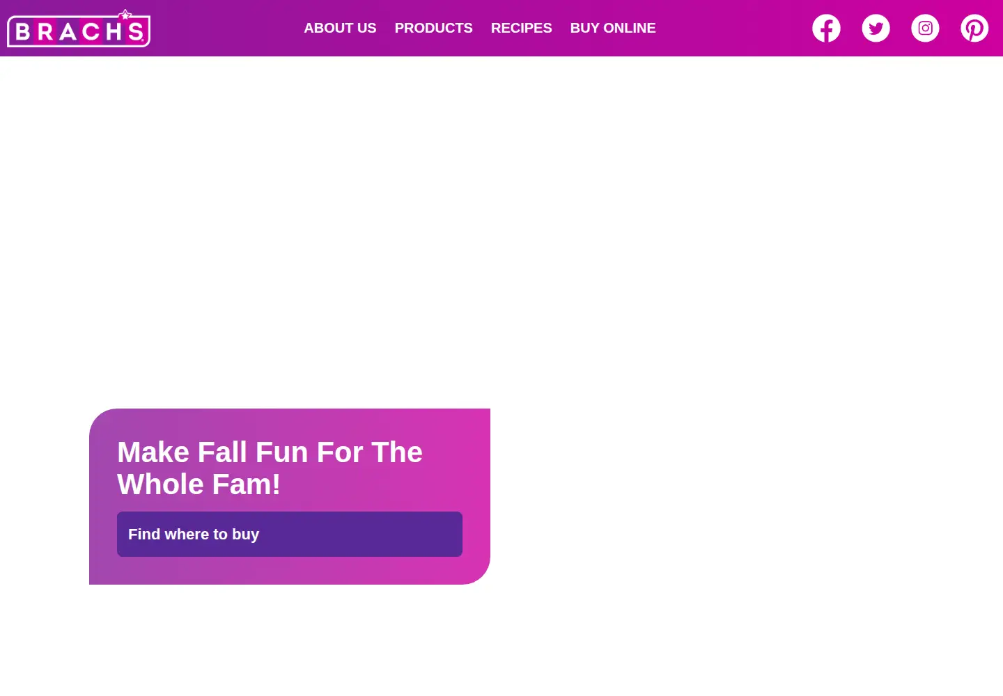 Captured homepage of brachs.com in the current scan
