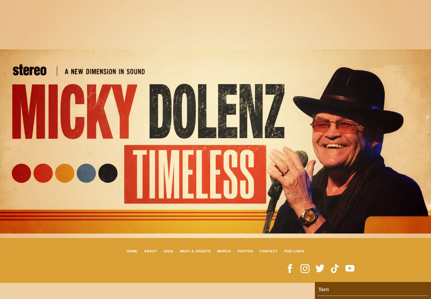 Screenshot of mickydolenz.com