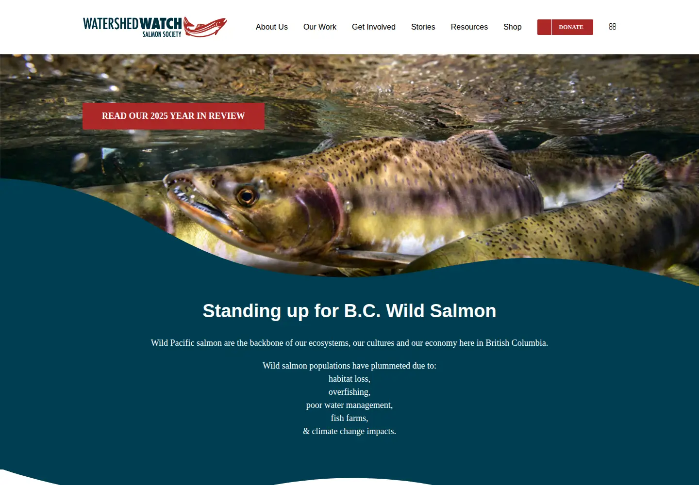 Screenshot of watershed-watch.org