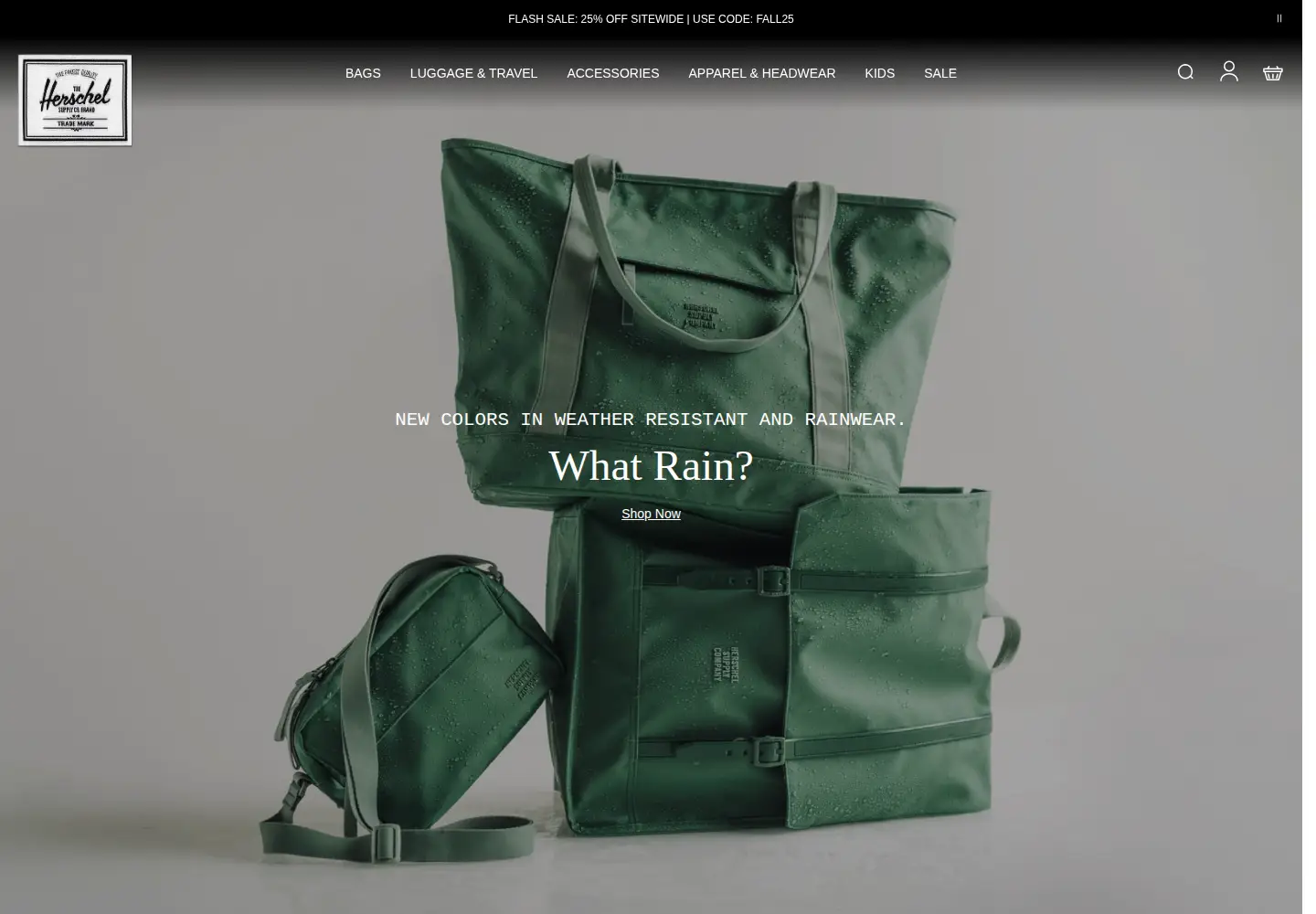 Captured homepage of herschel.com in the current scan