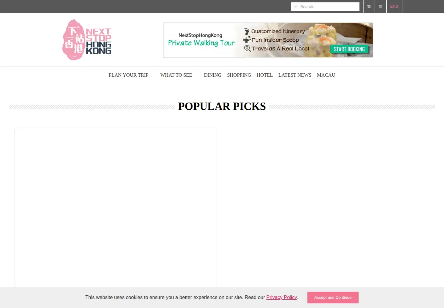 Captured homepage of nextstophongkong.com in the current scan