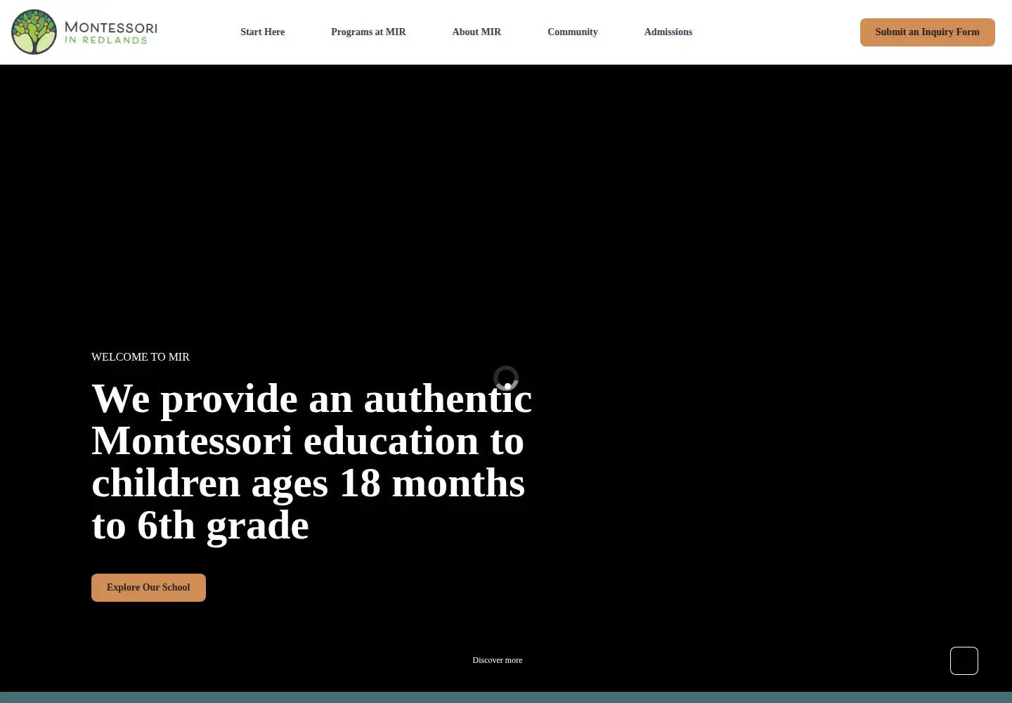 Captured homepage of mir.org in the current scan