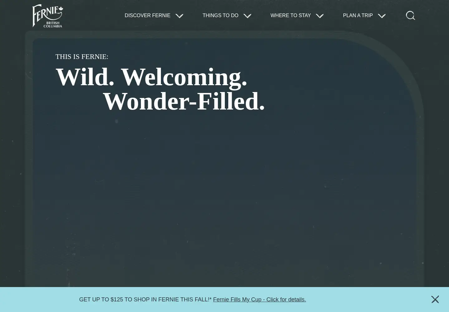 Screenshot of tourismfernie.com