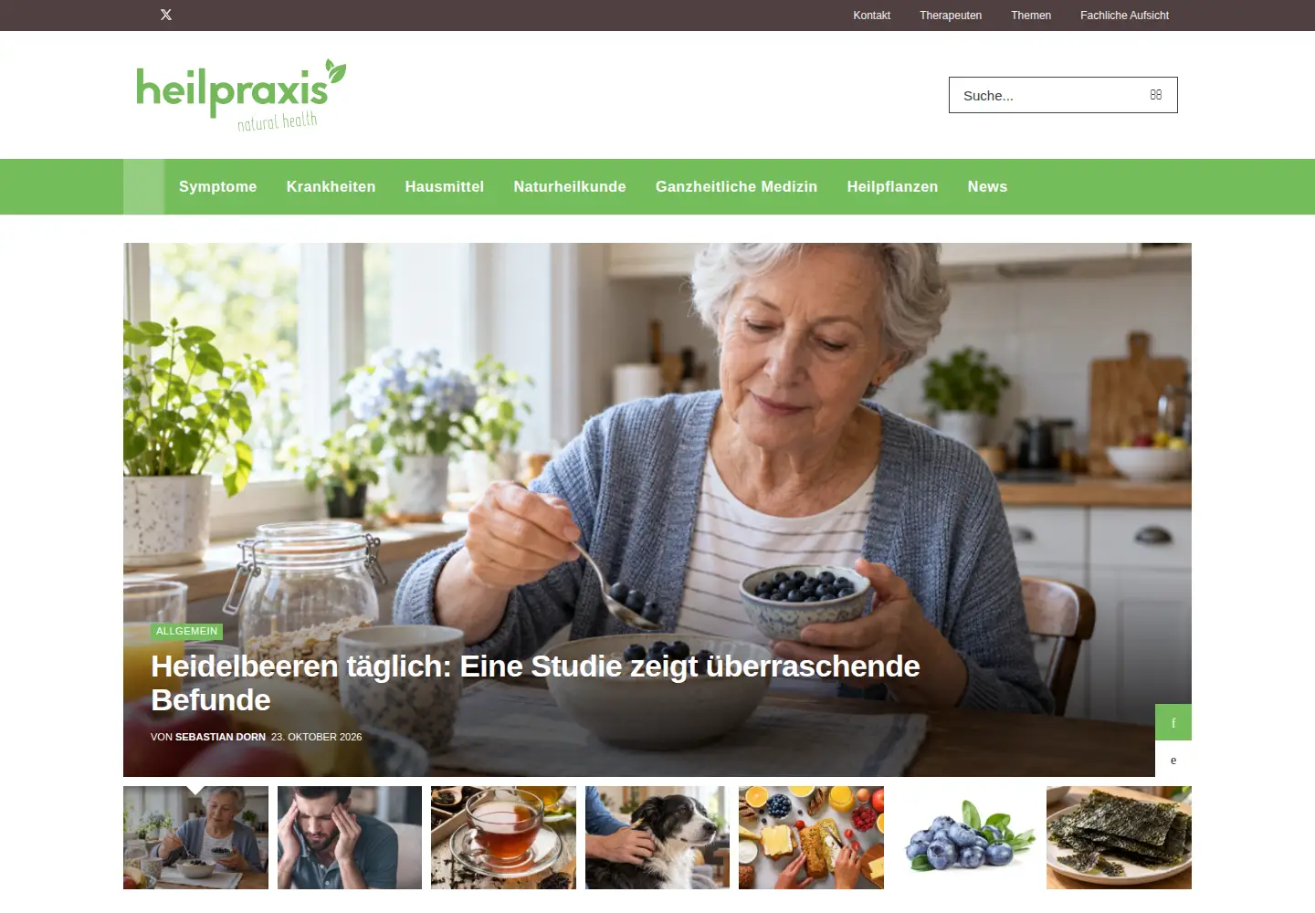 Captured homepage of heilpraxisnet.de in the current scan