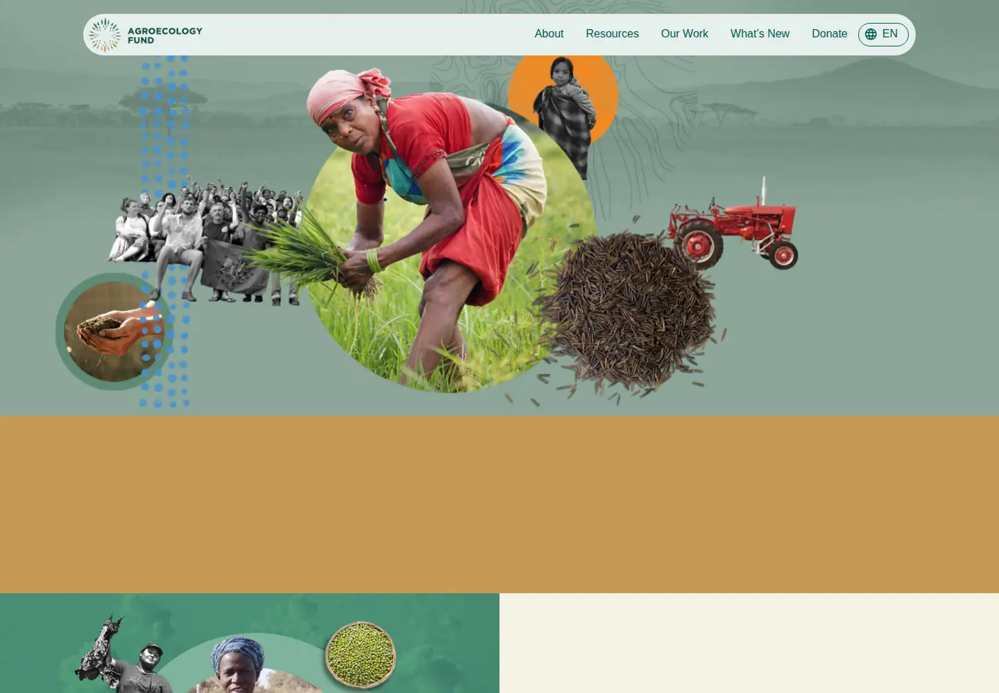 Captured homepage of agroecologyfund.org in the current scan