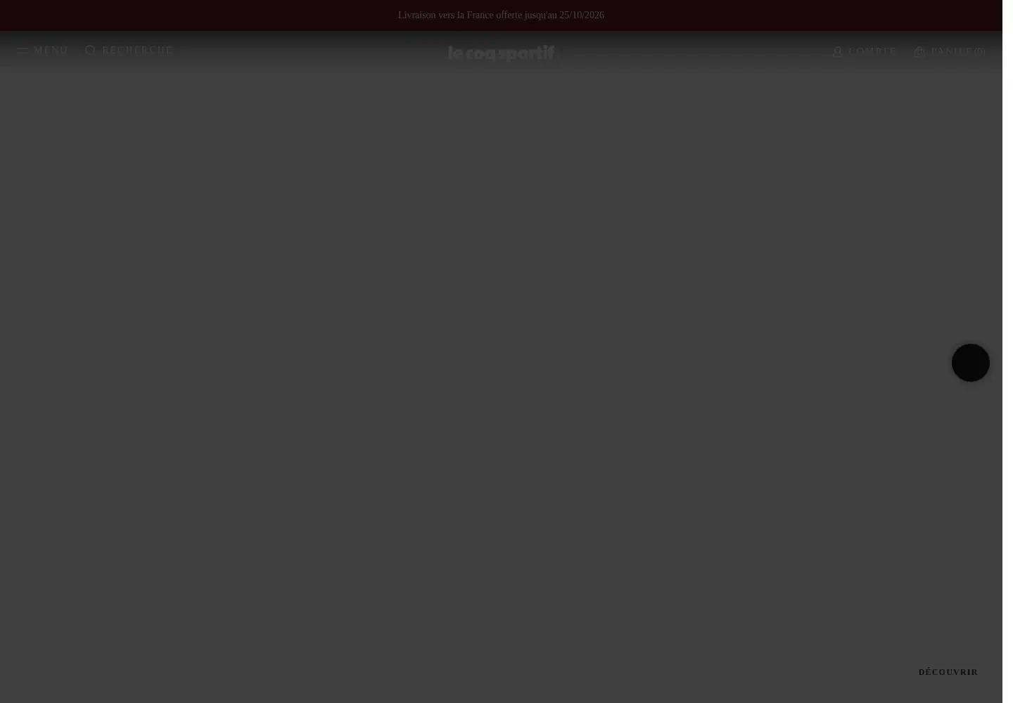 Captured homepage of lecoqsportif.com in the current scan