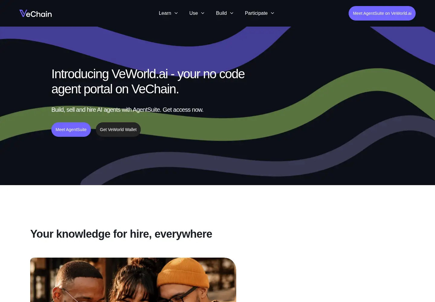 Captured homepage of vechain.com in the current scan