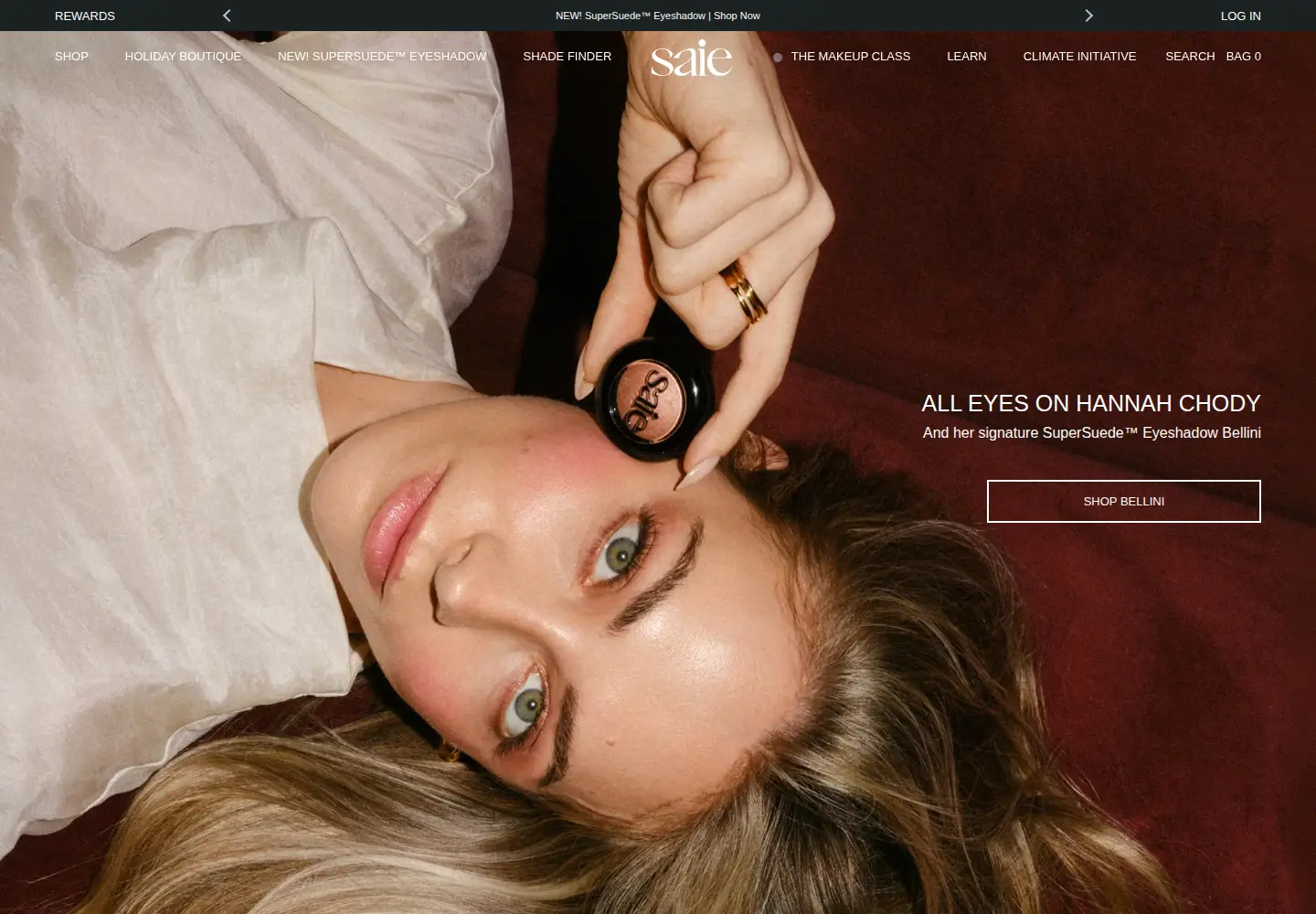 Screenshot of saiehello.com