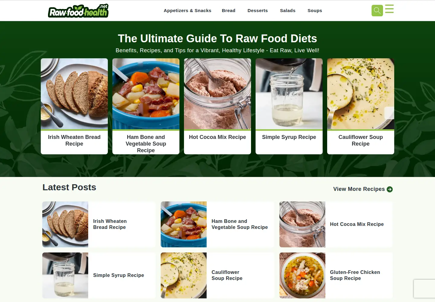 Captured homepage of raw-food-health.net in the current scan