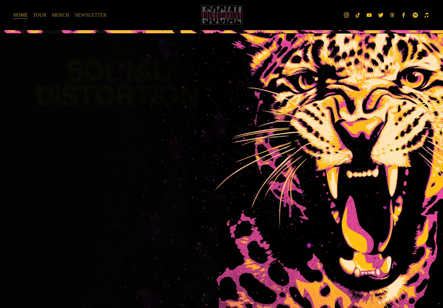 Screenshot of socialdistortion.com