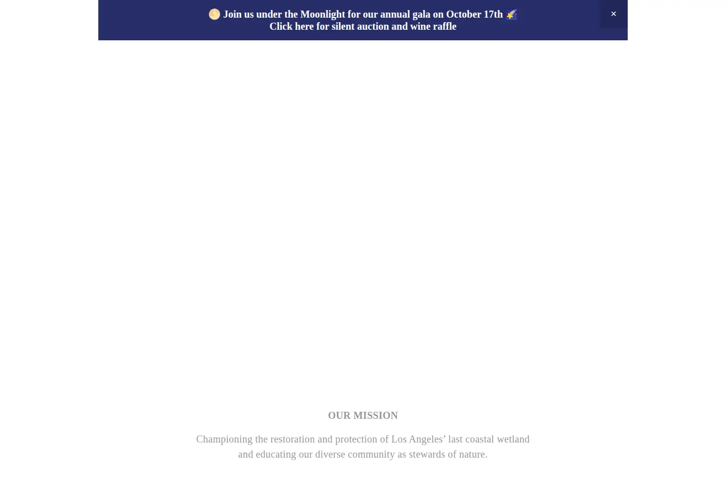 Screenshot of ballonafriends.org