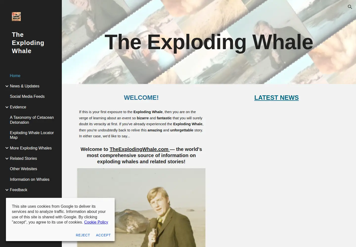 Screenshot of theexplodingwhale.com