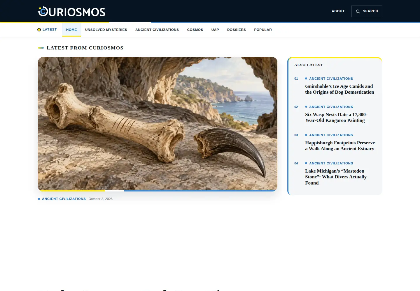 Screenshot of curiosmos.com