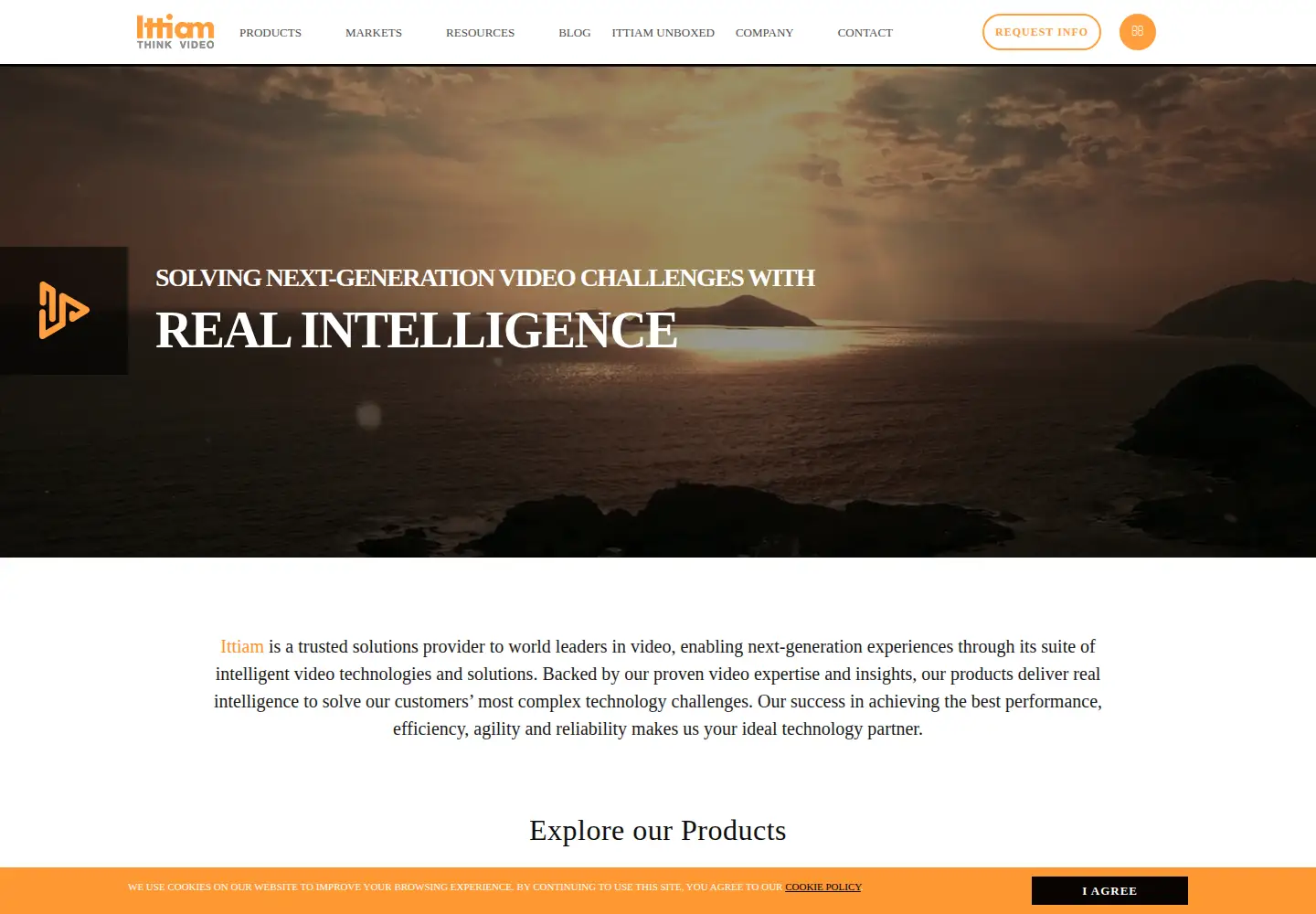Captured homepage of ittiam.com in the current scan