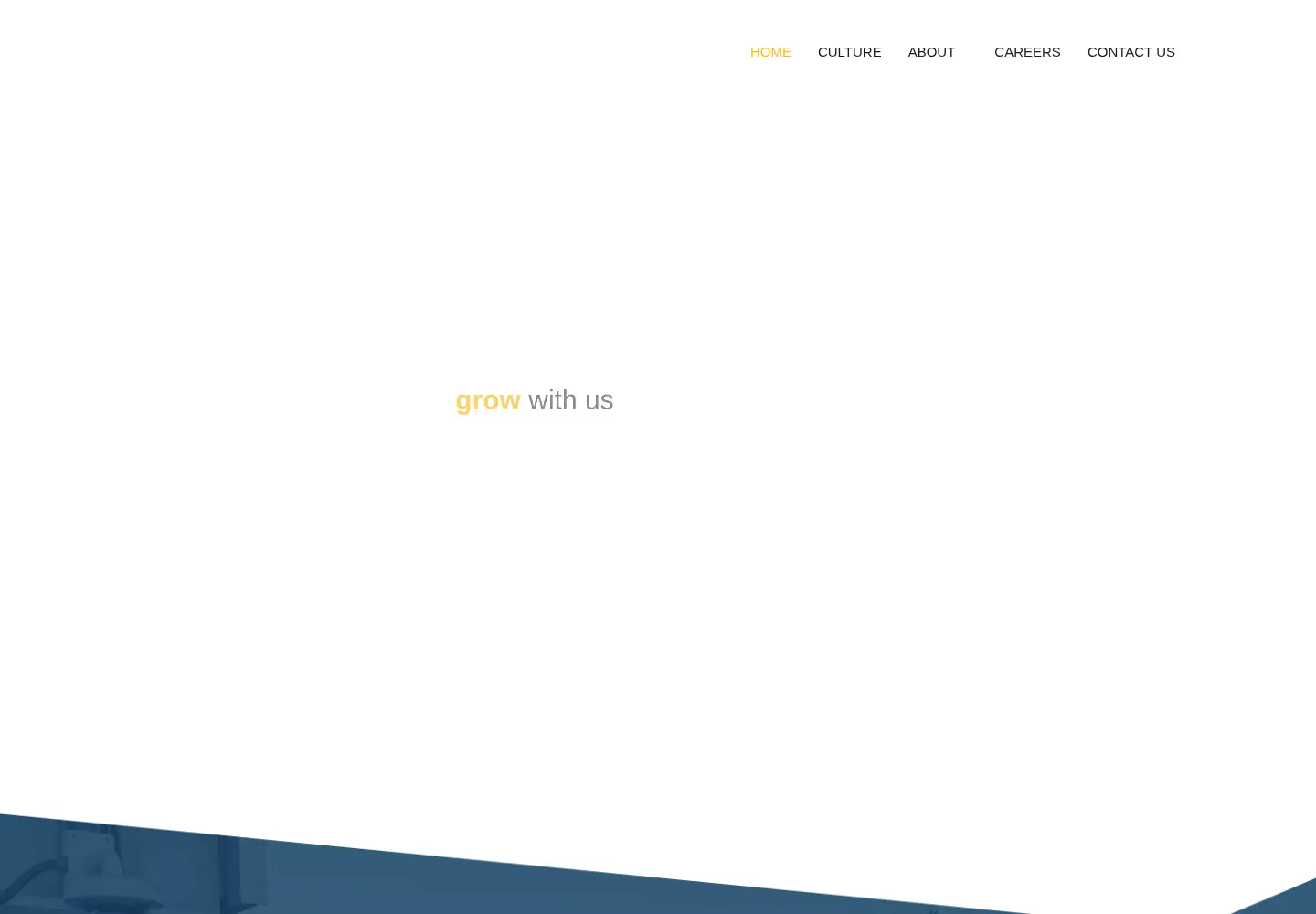 Screenshot of springventuregroup.com