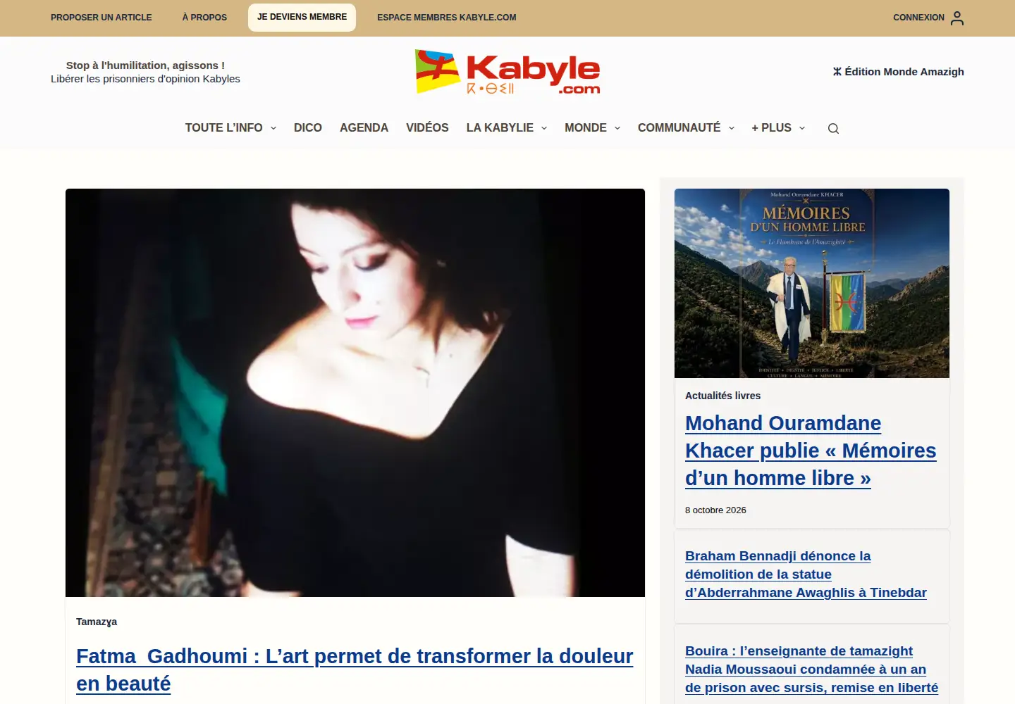 Screenshot of kabyle.com