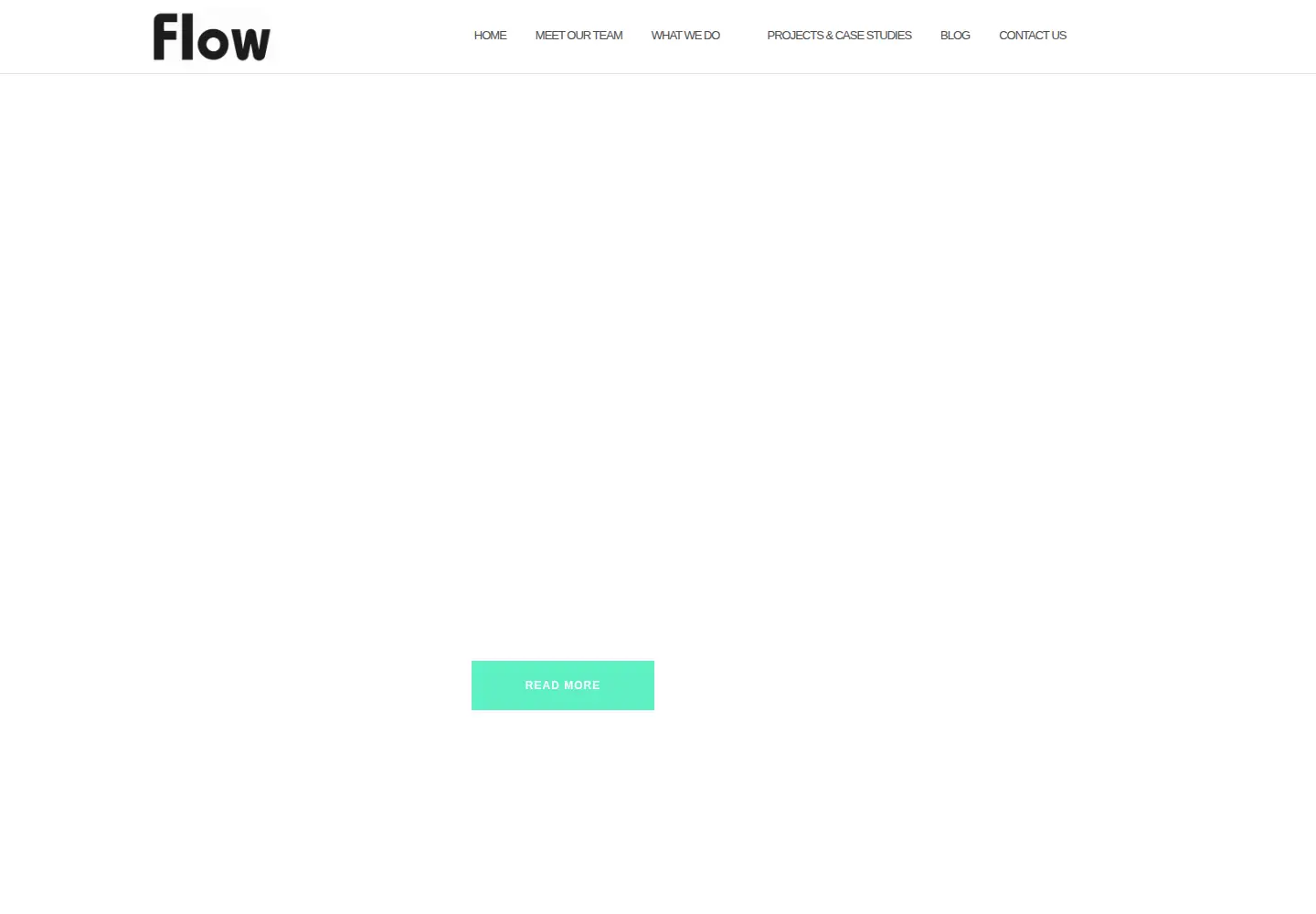 Captured homepage of flowassociates.com in the current scan